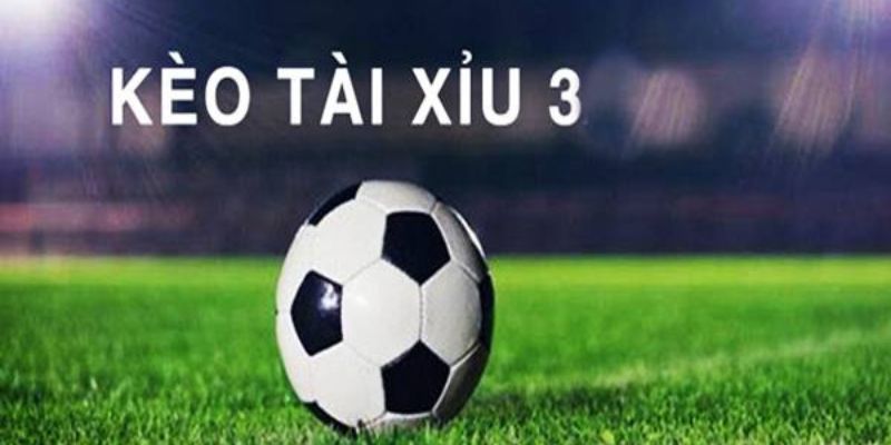 Kèo tài xỉu 3 hòa tha hồ cá cược