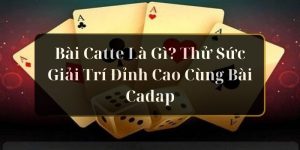 bài catte là gì hi88