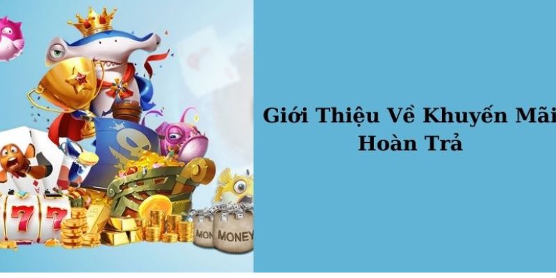 Hi88 là sân chơi đầu tiên triển khai khuyến mãi hoàn trả 2%