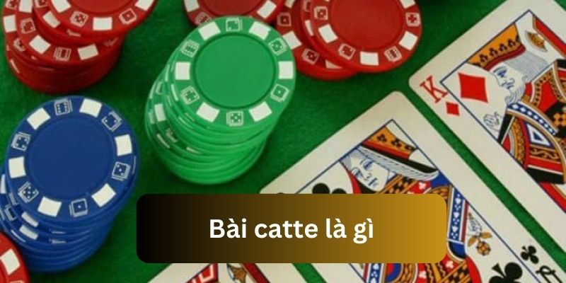 Nắm bắt nội dung giới thiệu để giải đáp bài catte là gì