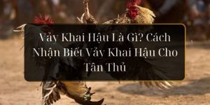 vảy khai hậu là gì hi88